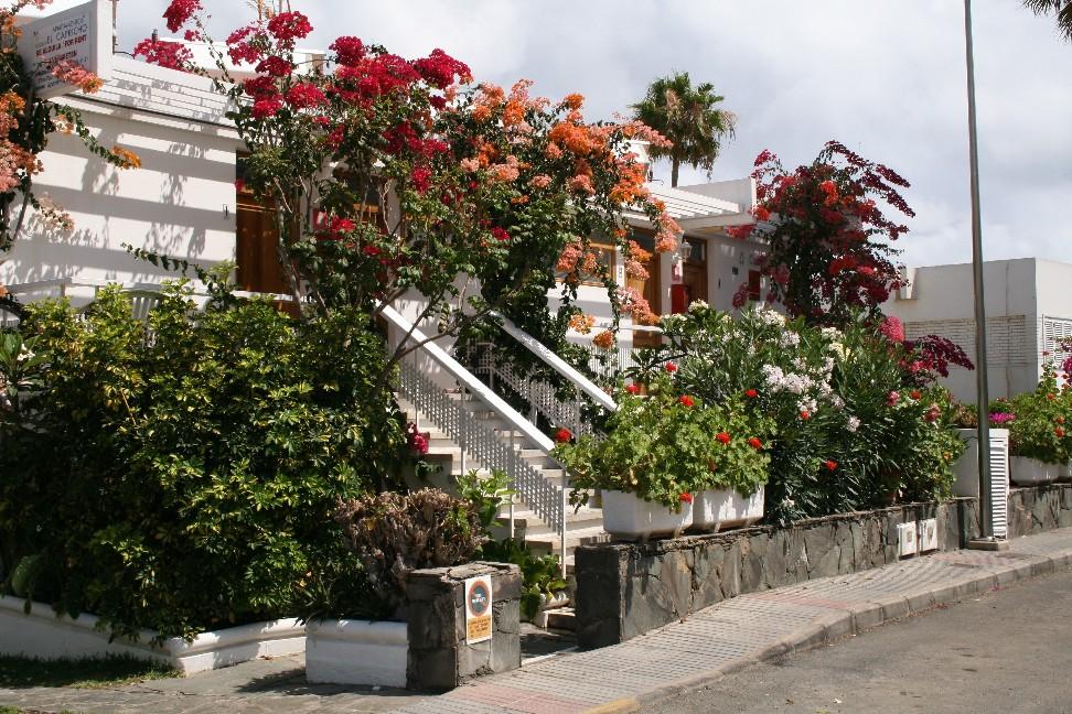 Apartamentos El Capricho Μασπαλόμας Εξωτερικό φωτογραφία